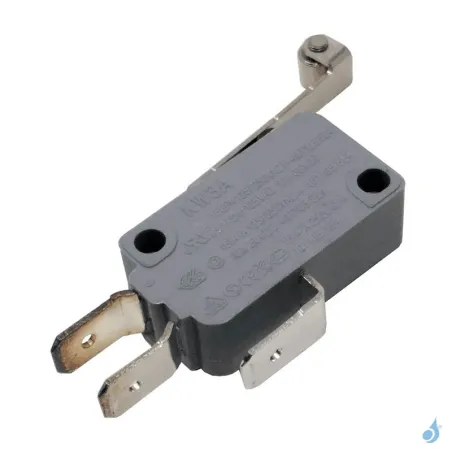 Micro-interrupteur pour inserts Ravelli Réf : 3800-01-214