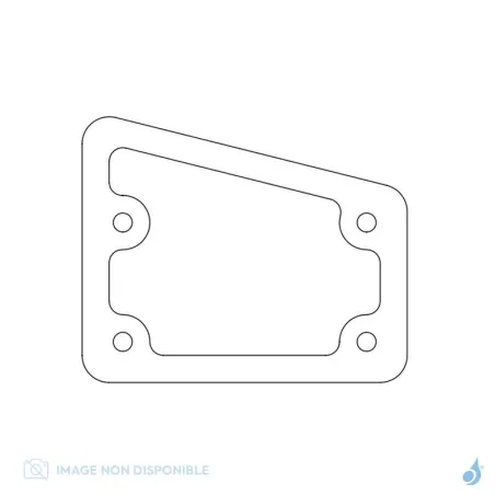 Joint Clapet Inspection Fumées pour inserts RED Réf : 41801802400