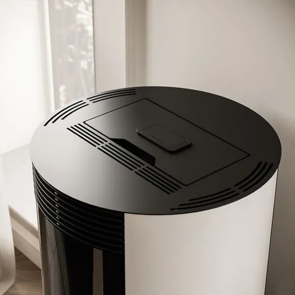 Poêle à granulés étanche Palazzetti Ecofire Emily TC 6 Puissance 6kW Sortie Fumée Postérieure