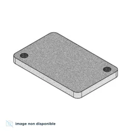 Joint (2 Pcs) pour poêles à granulés MCZ Giò Maggie Réf : 41801300500