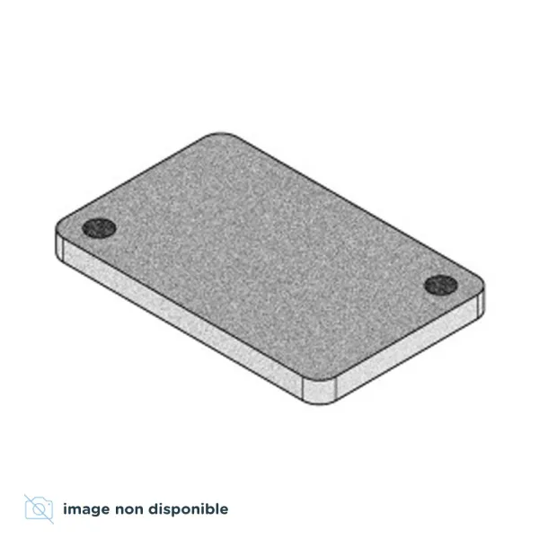 Joint (2 Pcs) pour poêles à granulés MCZ Giò Maggie Réf : 41801300500