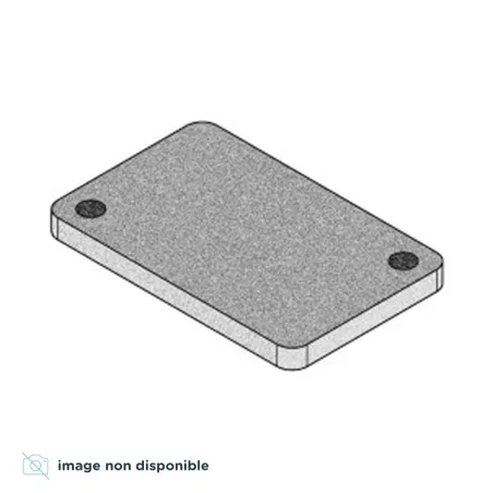 Joint (2 Pcs) pour poêles à granulés MCZ Giò Maggie Réf : 41801300500